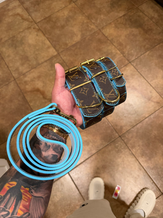 * - Collar & Leash Set