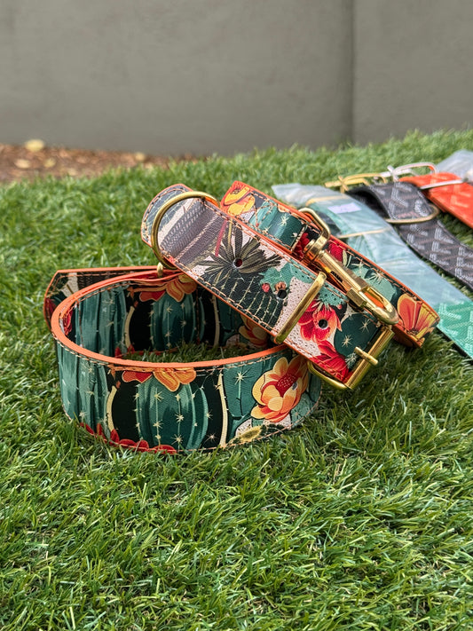 * - Collar & Leash Set