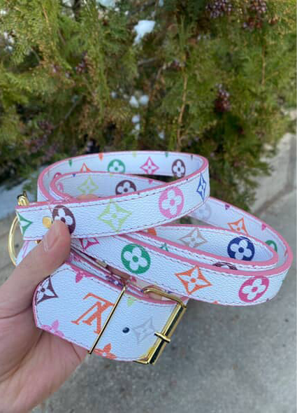 - Collar & Leash Set