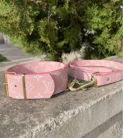 - Collar & Leash Set