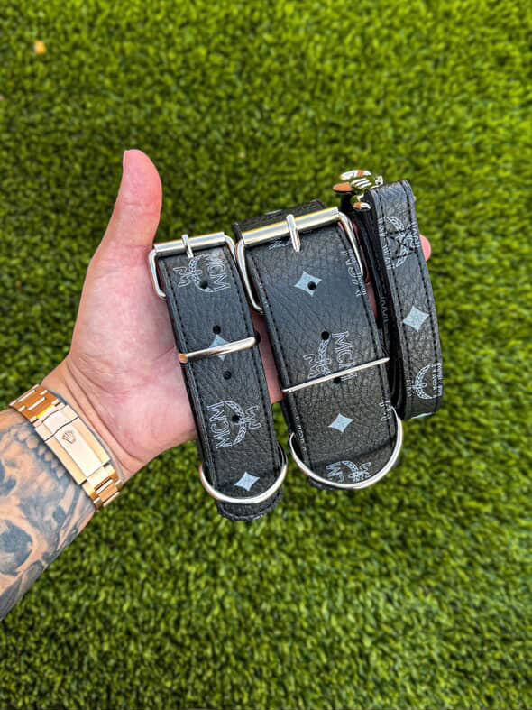 - Collar & Leash Set
