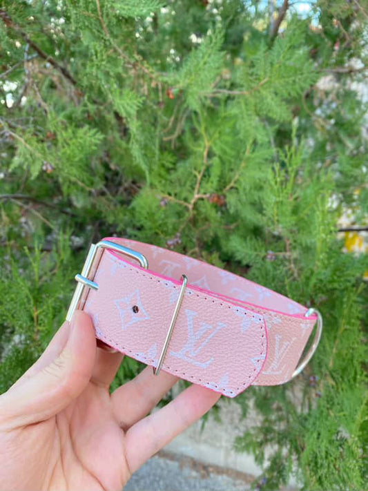 - Collar & Leash Set