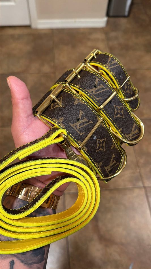 * - Collar & Leash Set