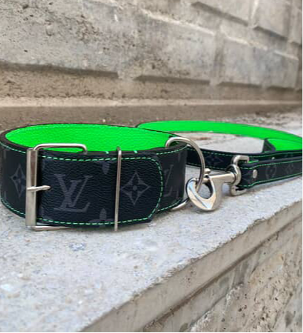 - Collar & Leash Set