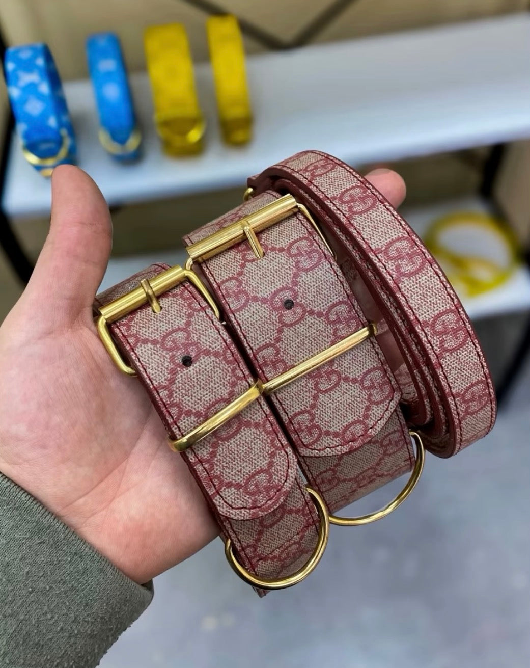 * - Collar & Leash Set