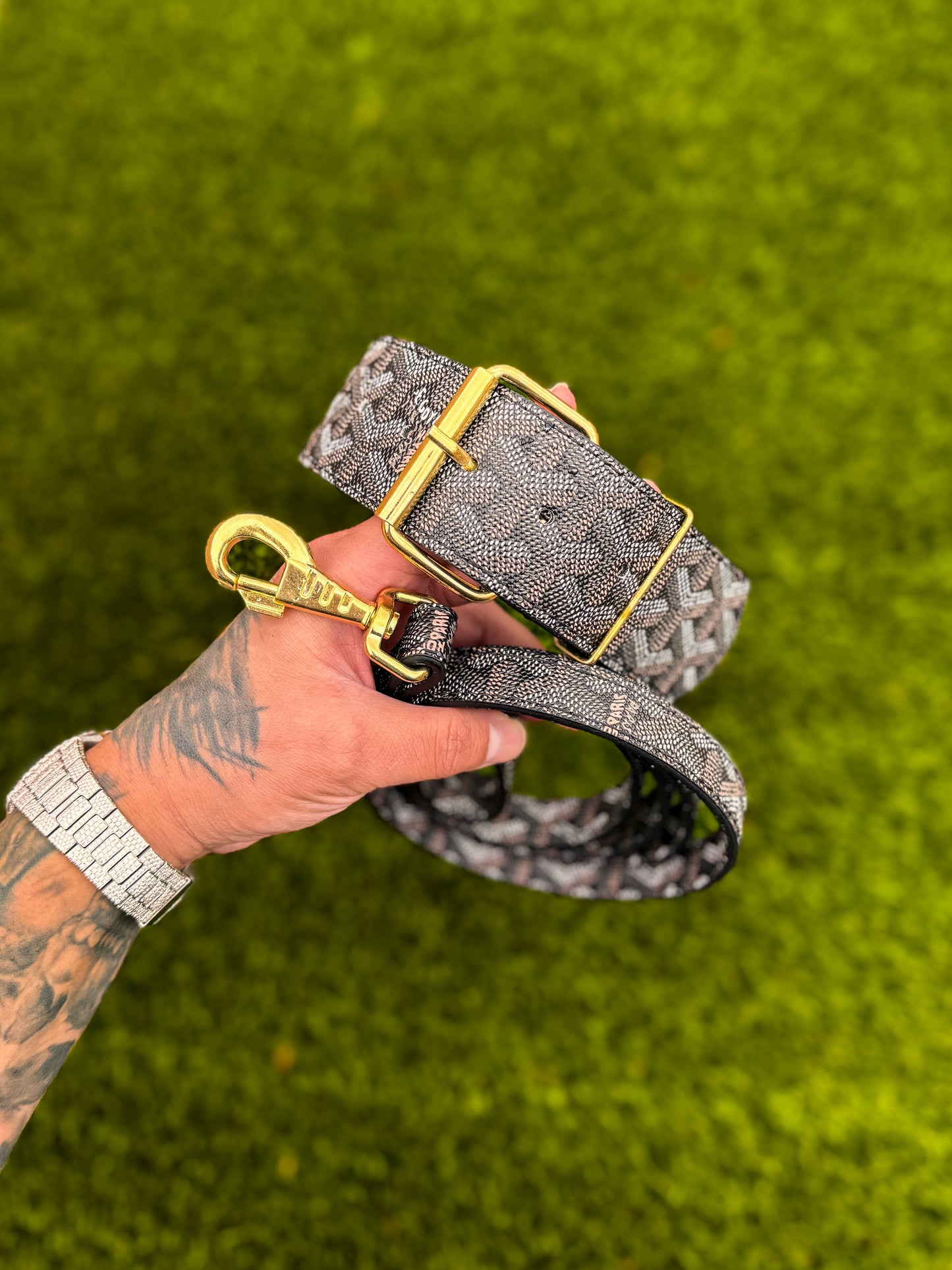 - Collar & Leash Set
