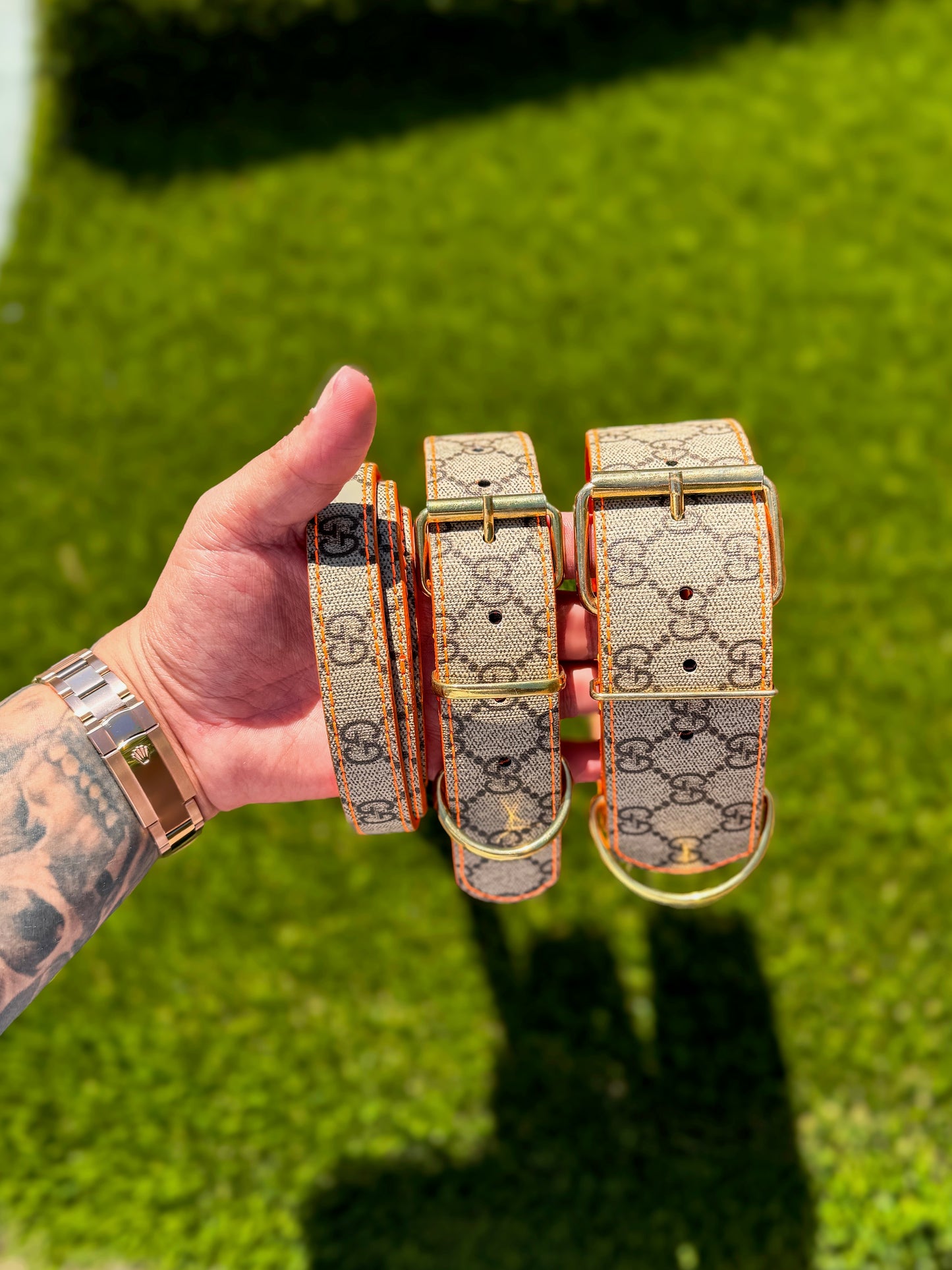 - Collar & Leash Set