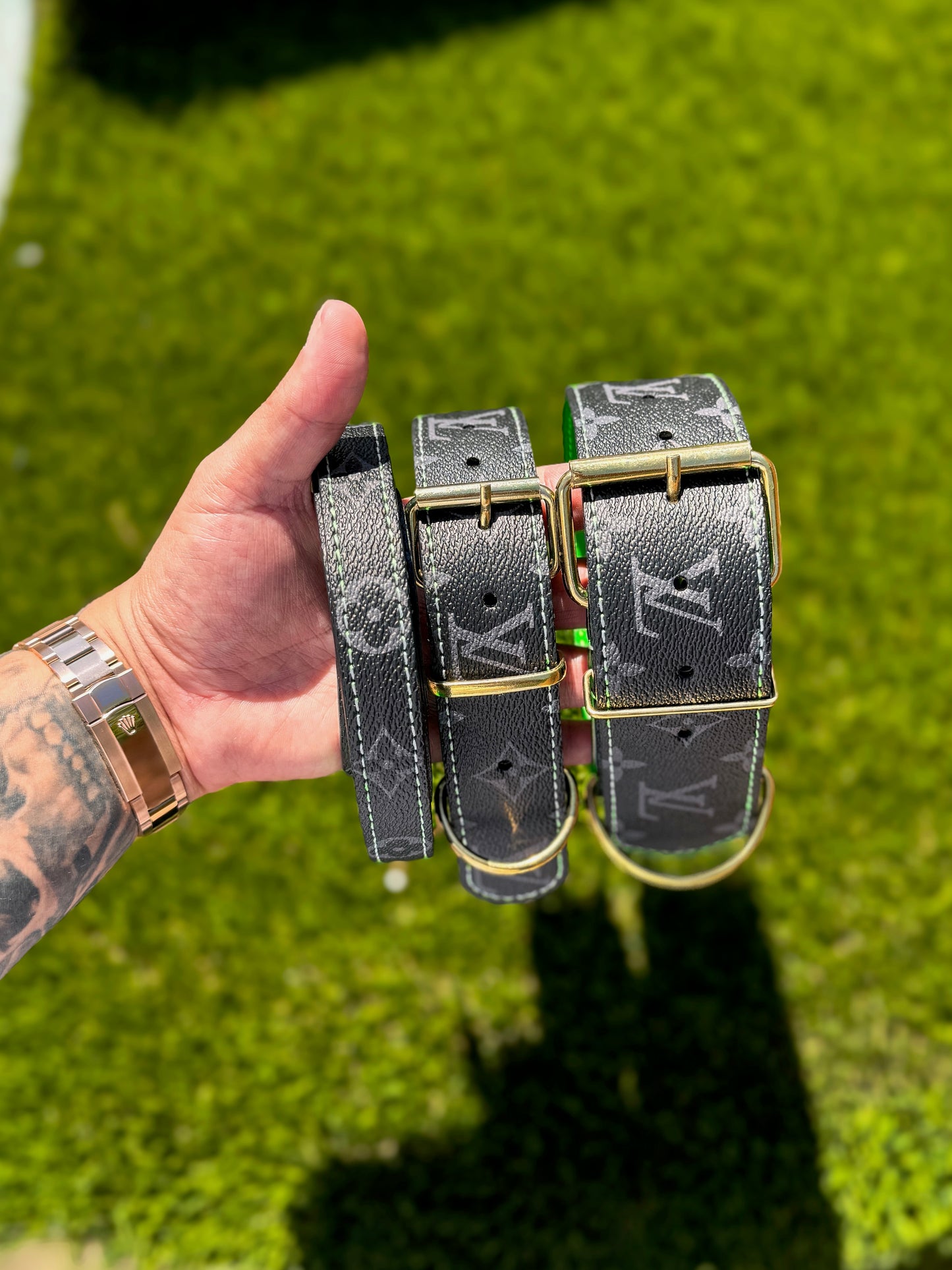 - Collar & Leash Set