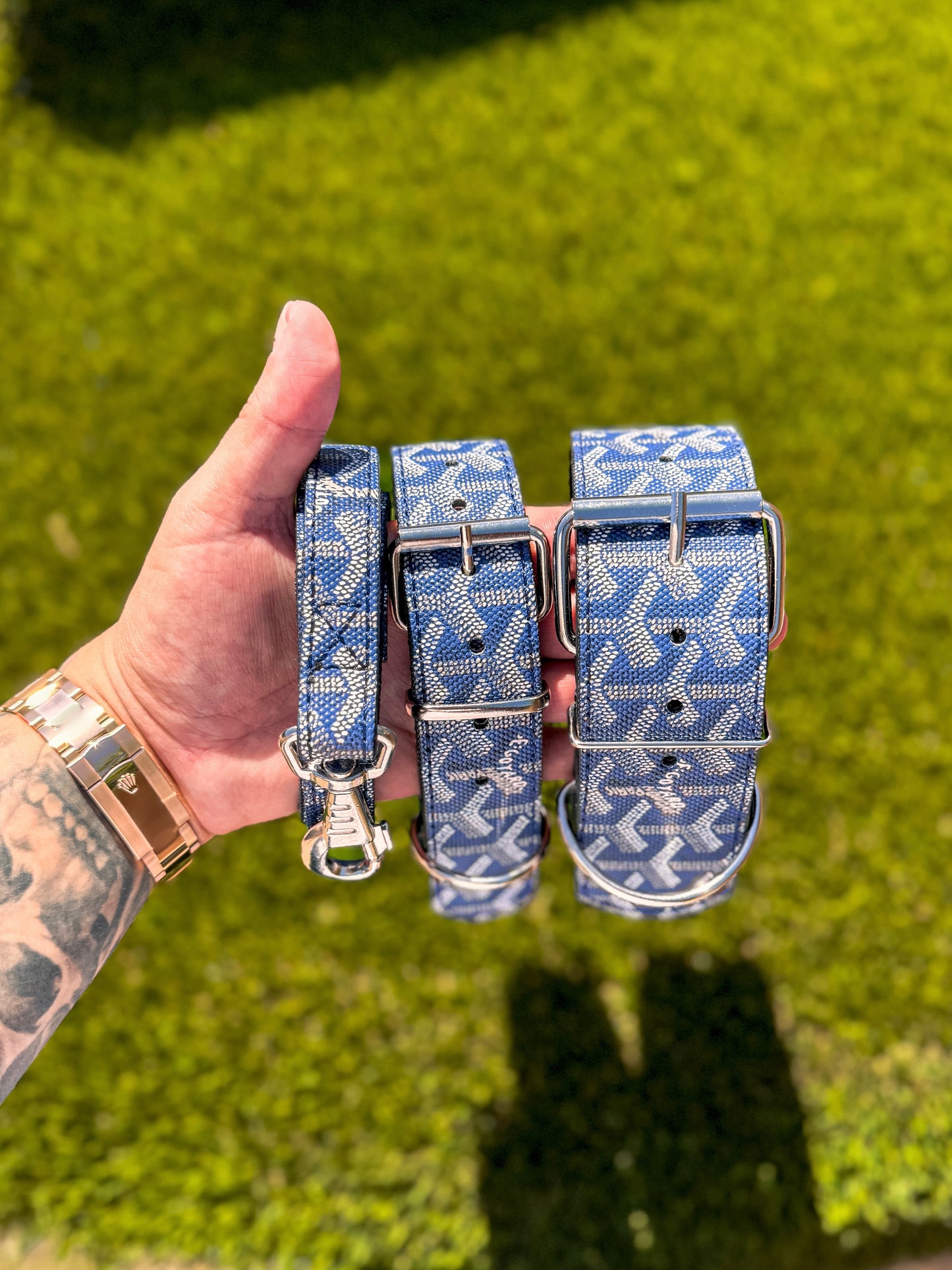 - Collar & Leash Set