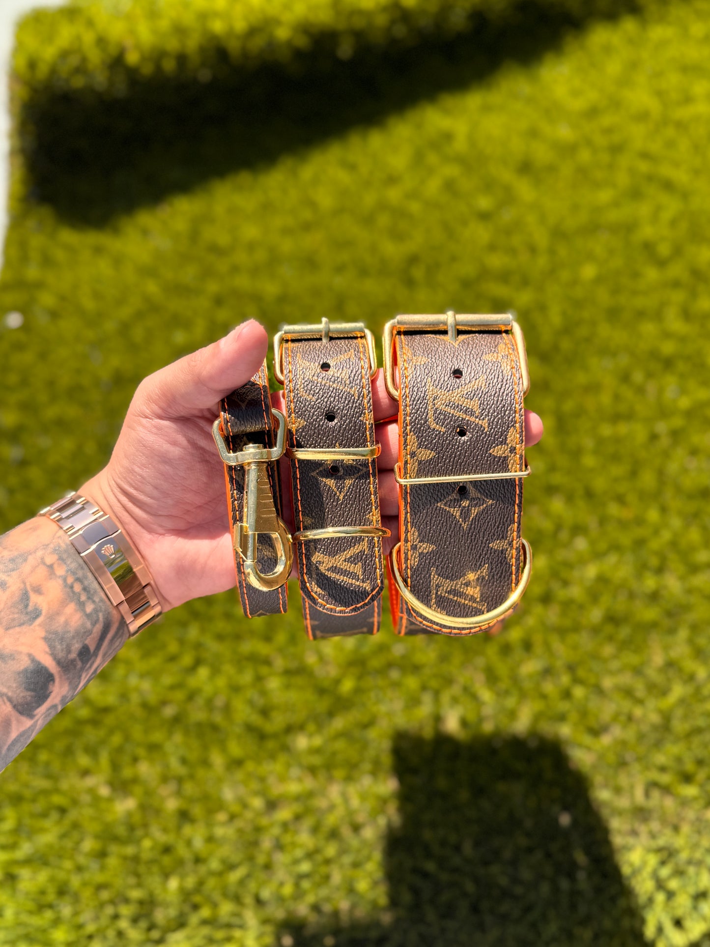- Collar & Leash Set