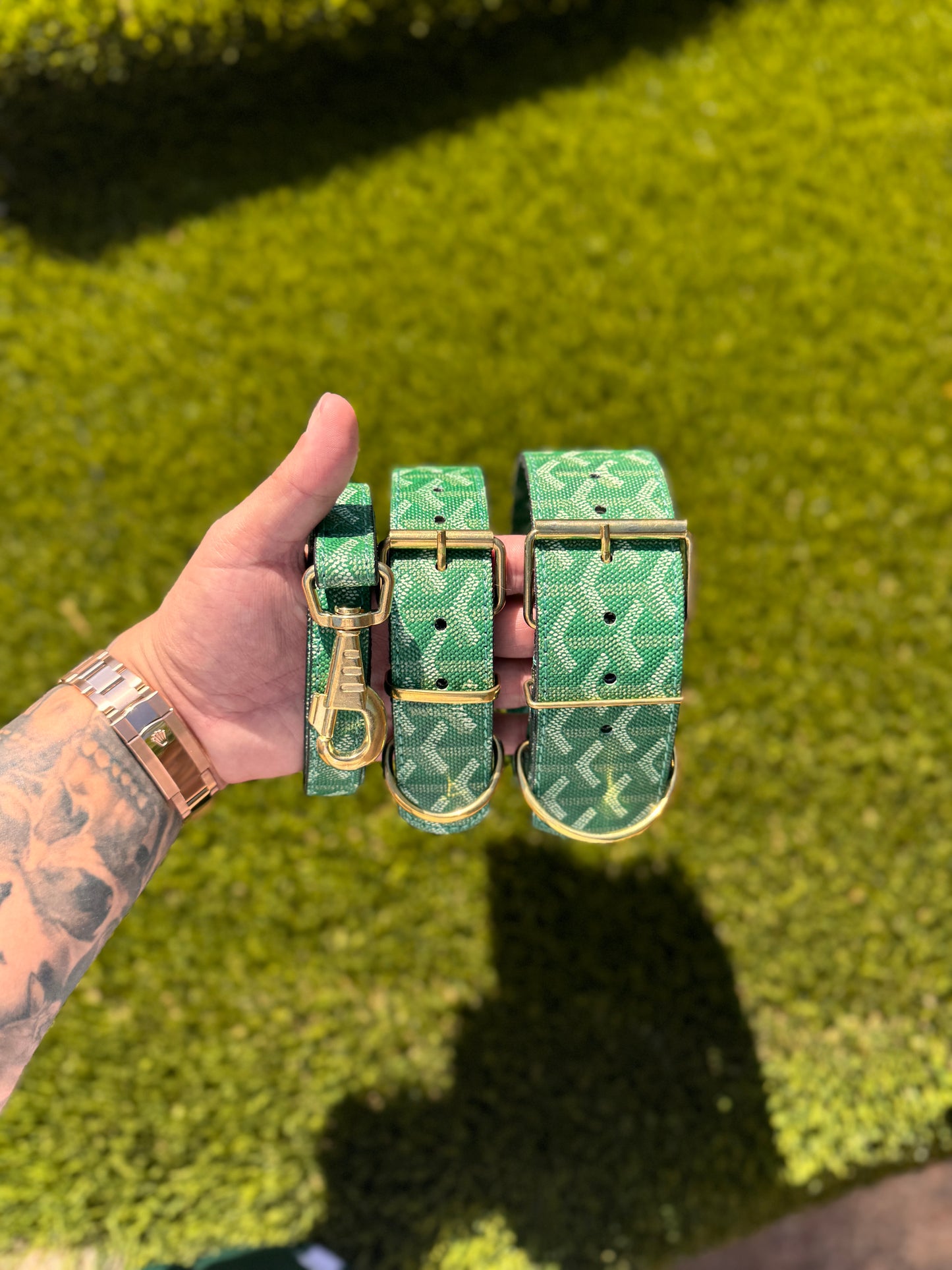 - Collar & Leash Set