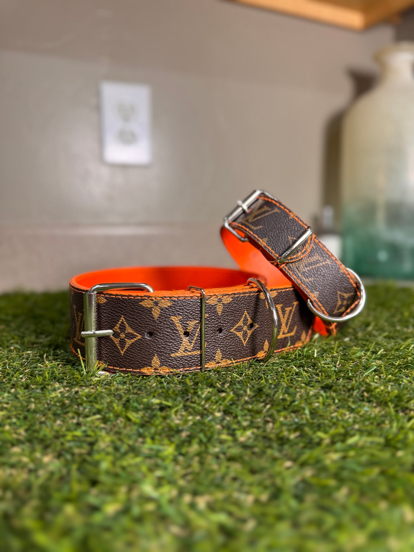 - Collar & Leash Set