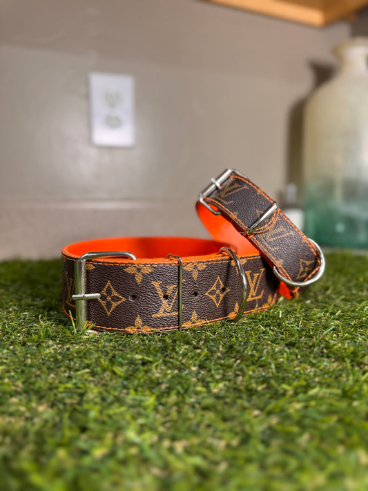 - Collar & Leash Set