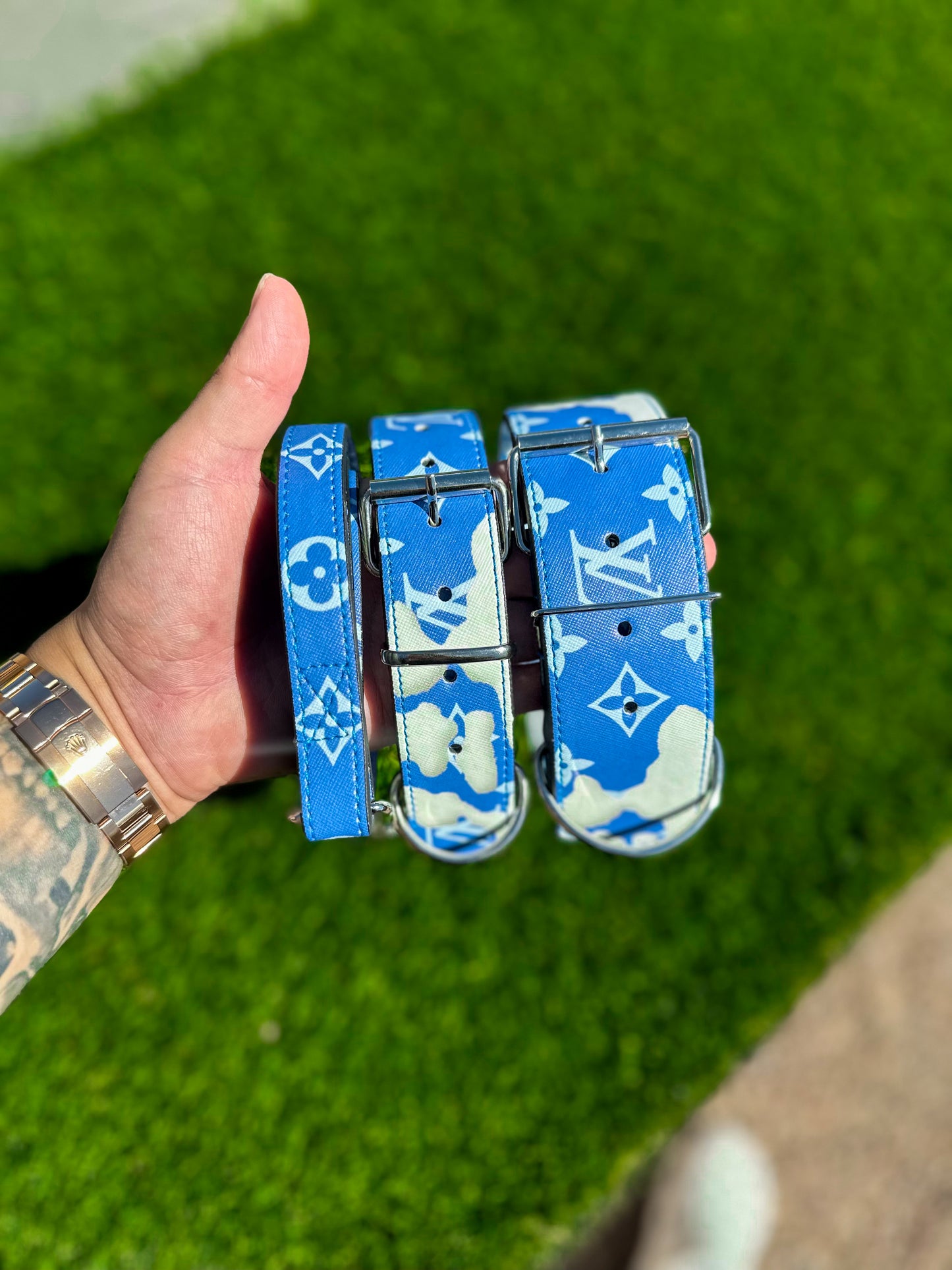 - Collar & Leash Set