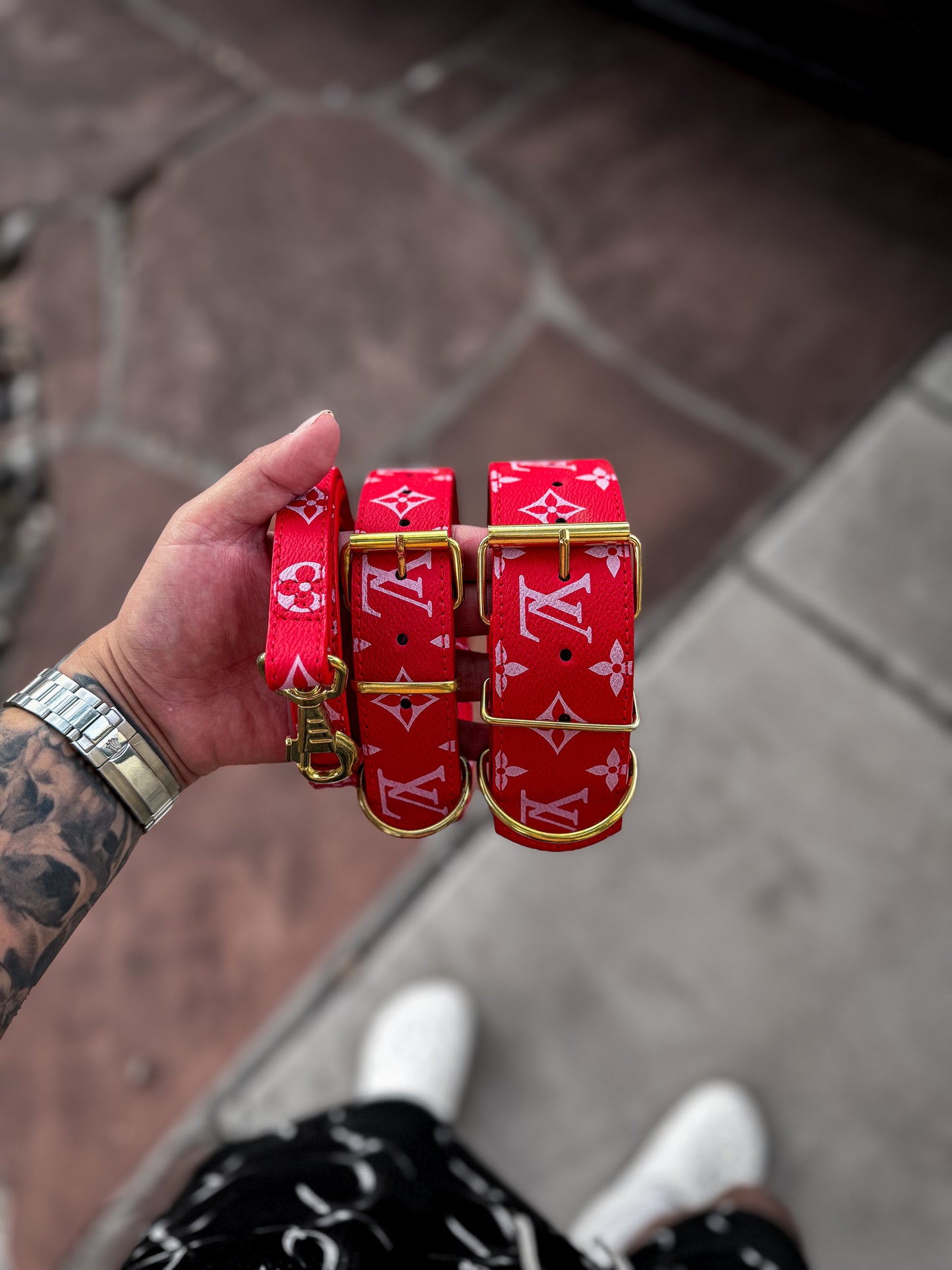 - Collar & Leash Set