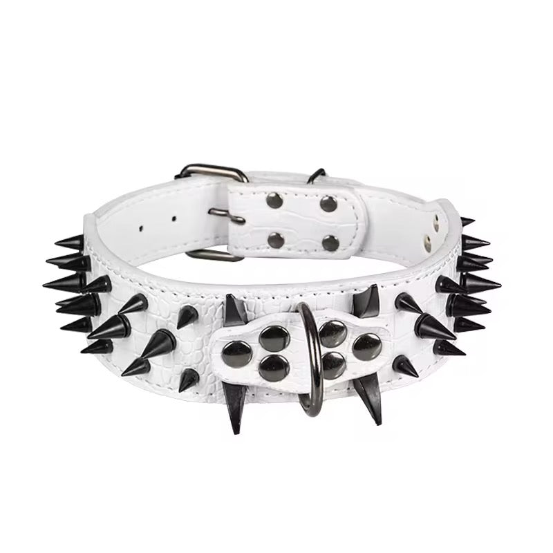 Spike Collar & Leash Sets