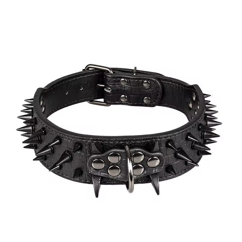 Spike Collar & Leash Sets
