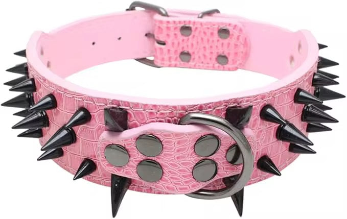 Spike Collar & Leash Sets