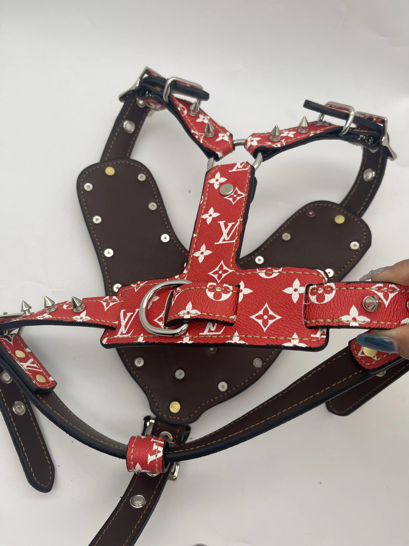 - Harness & Leash Set