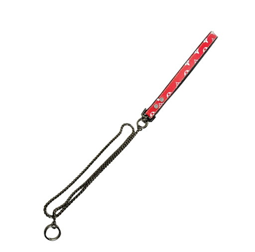 Designer Leash