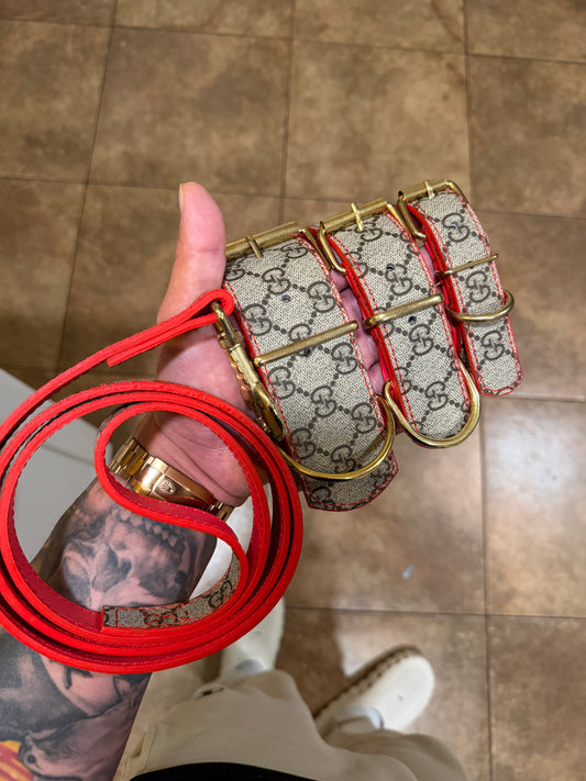 * - Collar & Leash Set