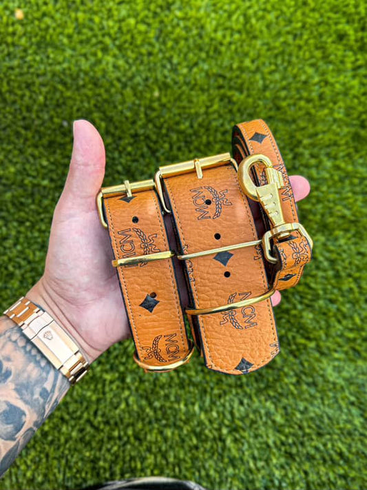 - Collar & Leash Set