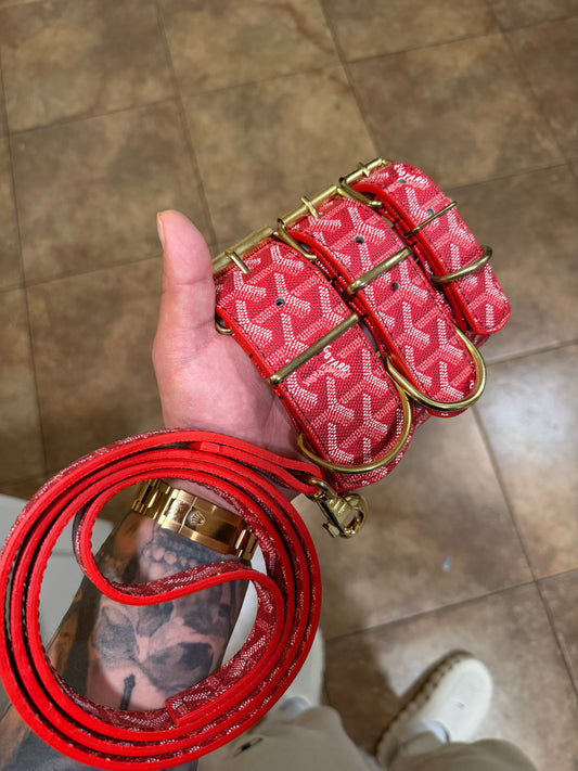 * - Collar & Leash Set