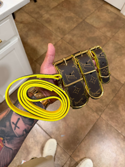 * - Collar & Leash Set