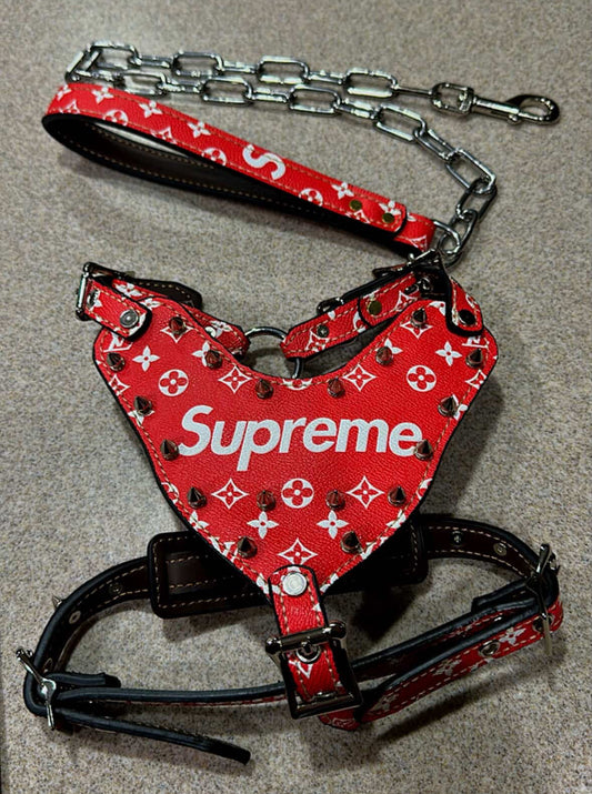 - Harness & Leash Set