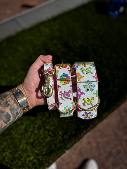 - Collar & Leash Set