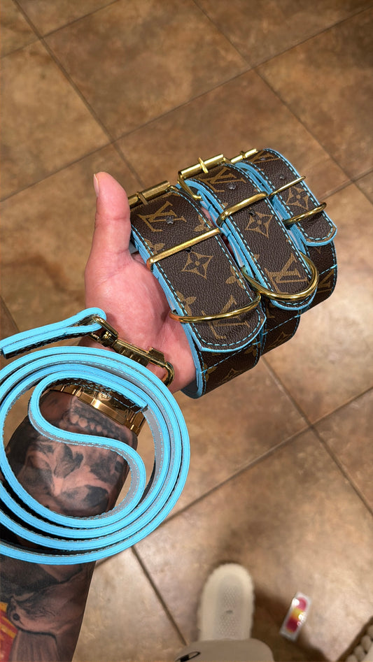 * - Collar & Leash Set