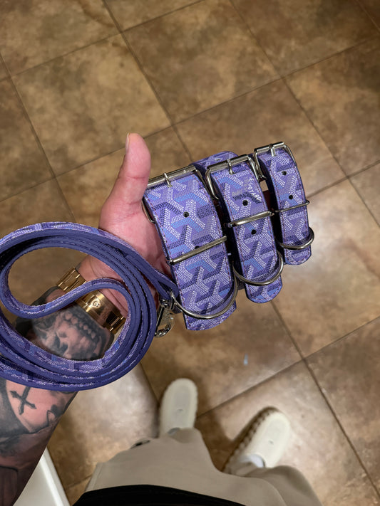 * - Collar & Leash Set