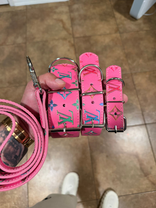 * - Collar & Leash Set