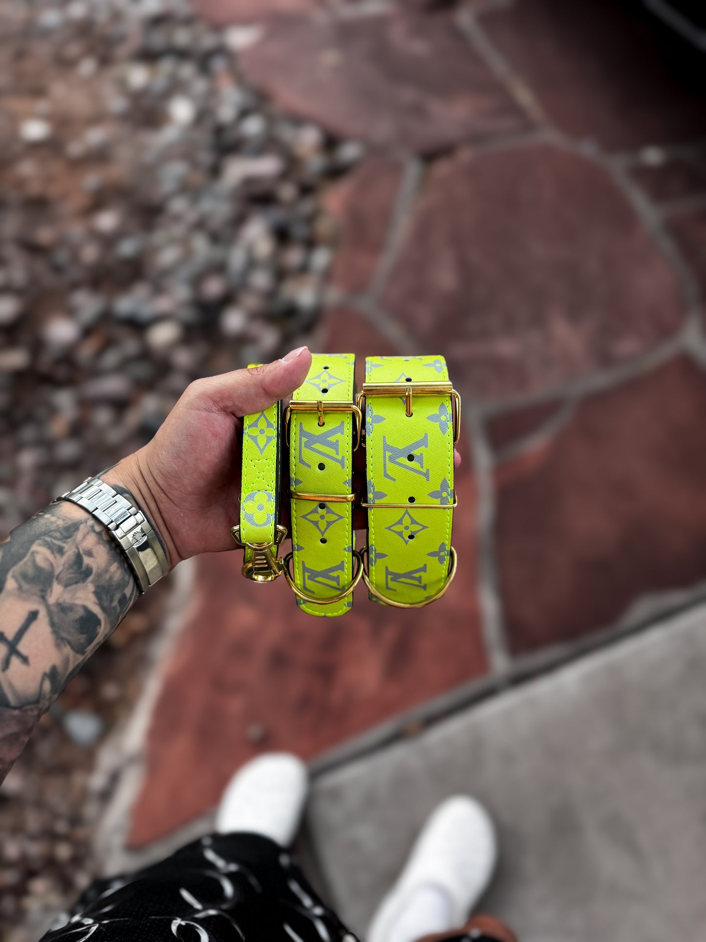 - Collar & Leash Set