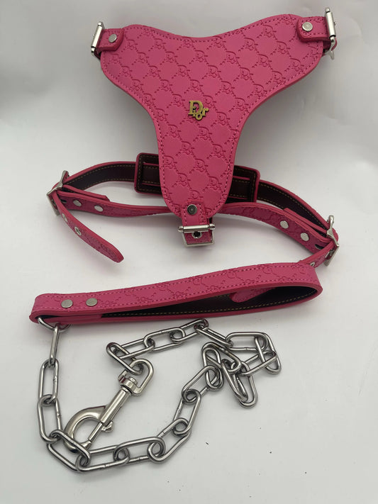- Harness & Leash Set