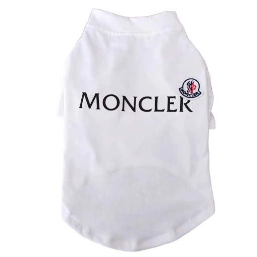 Stylish T-Shirt